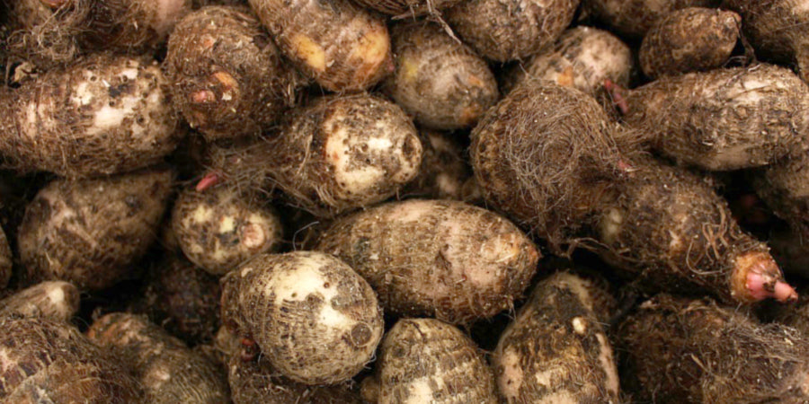 Eddoe Cocoyam 1kg