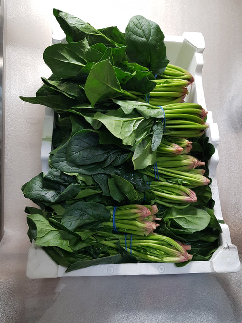Fresh Spinach Bunch